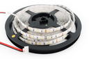 Cinta 6000K 12V 4.8W SMD 3528 60LED/MTS 5 MTS IP-33 (2)